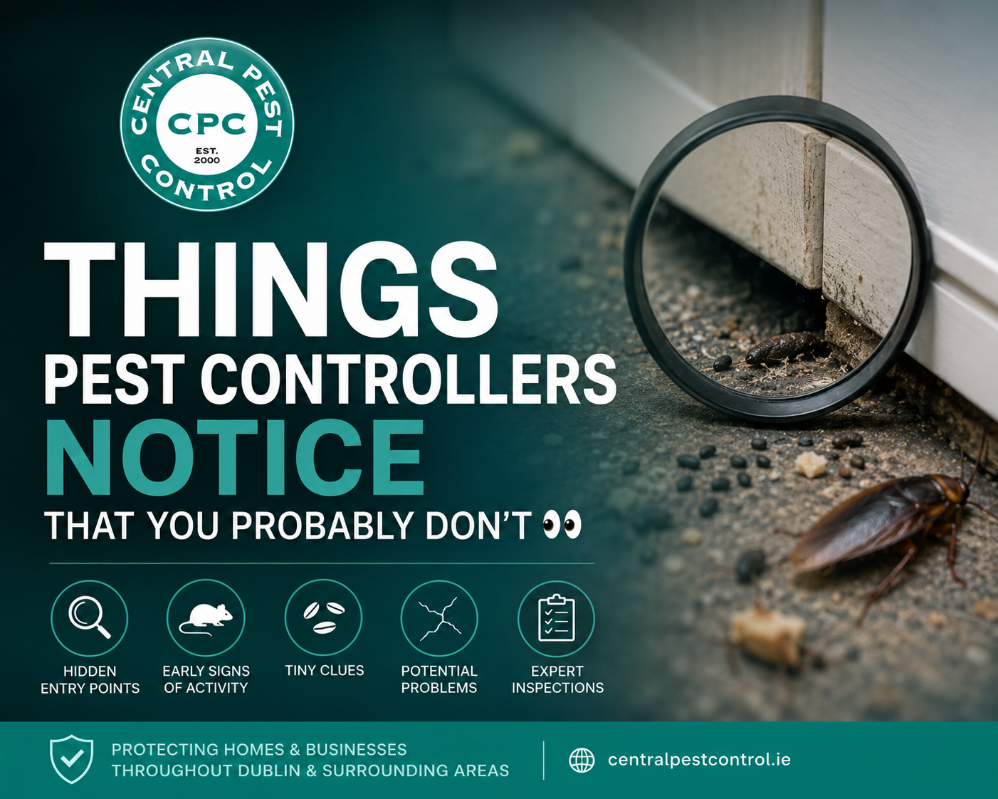 Things Pest Controllers Know That You Probably Don’t | Central Pest Control Dublin